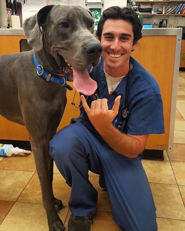 Drew Rydell, Veterinarian